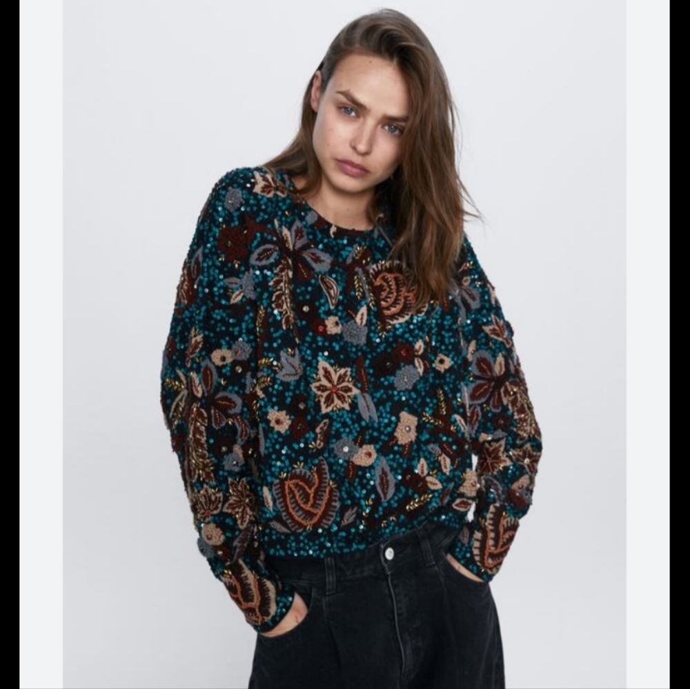 BNWT! Zara limited edition  Embroidered  sweater